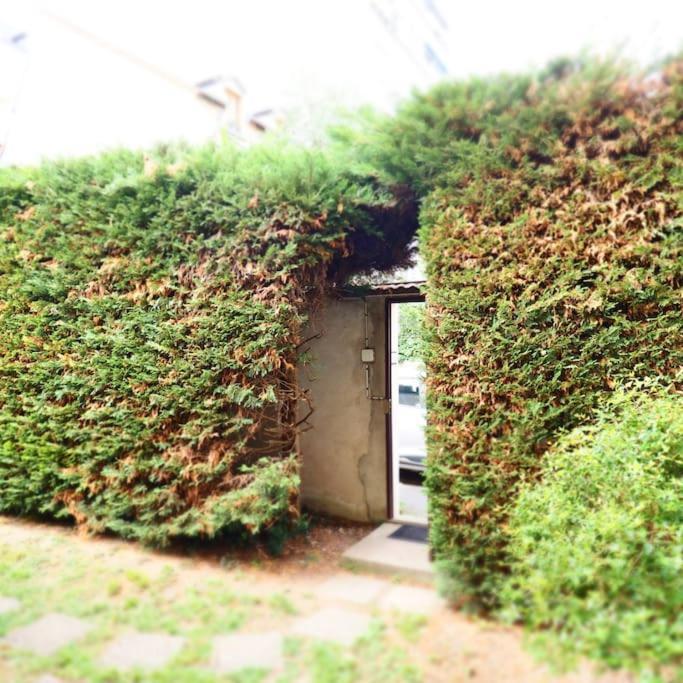 Maison Faure - Centre Ville - Jardin - Garage فيشي المظهر الخارجي الصورة